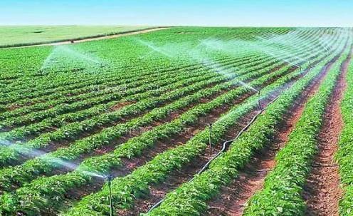 骚白虎网农田高 效节水灌溉